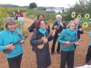 Ukuleles at Sunflower trail